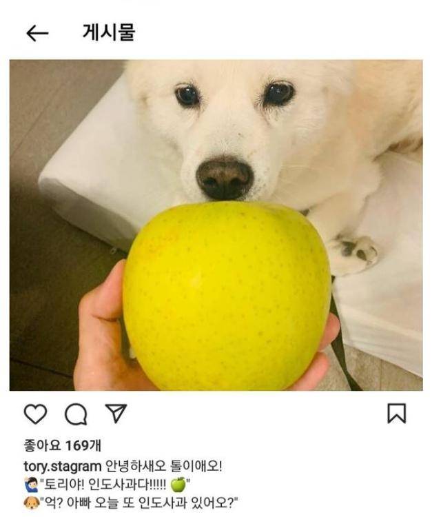 윤석열 전 검찰총장의 반려견 토리 사진을 주로 올리는 인스타그램 계정에 오른 사진. '전두환 옹호' 발언 논란에 대해 윤 전 총장이 사과를 표명한 후에 게시된 사진인데, 거센 비판에 휩싸이자 현재 삭제된 상태다. 윤석열 인스타그램 캡처