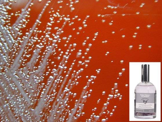 인도에서 수입돼 미국에서 판매된 아로마테라피 제품에서 유비저균이 검출되는 일이 발생했다. 사진은 유비저균 이미지와 문제의 제품.[미 CPSC 사이트, 포브스 홈페이지 캡처]