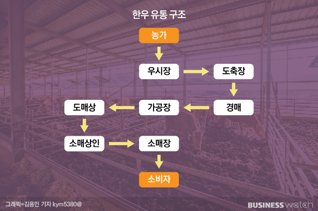 /그래픽=김용민 기자 kym5380@