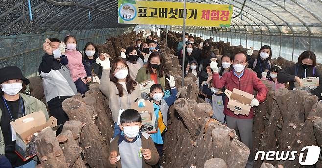 27일 경북 청도군에서 진행된 친환경농업체험 행사에 참가한 도시지역 주부들이 어린이들과 표고버섯따기 체험을 하고 있다. (청도군 제공) 2021.10.27/뉴스1 © News1 정우용 기자