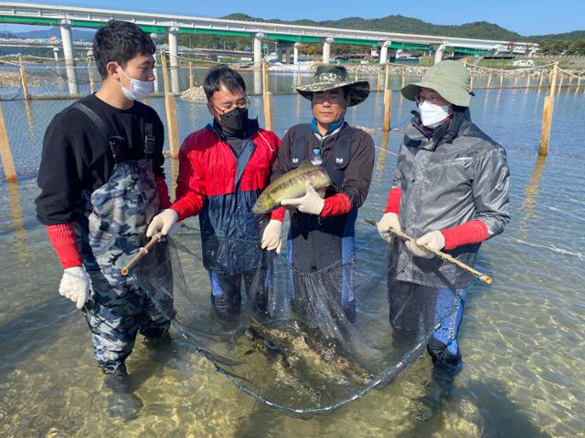 경북도 민물고기연구센터 직원들이 지난 26일 울진 왕피천에서 포획한 연어를 들어 보이고 있다. 경북도 제공