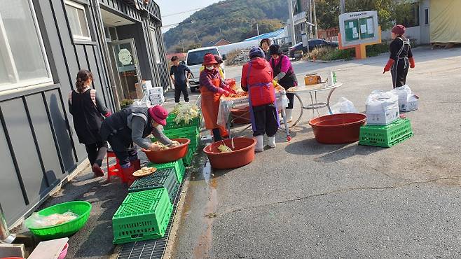 강원 철원군 김화읍 ‘왕언니들모임’ 회원들이 지난 26일 저소득층 가구에 전달할 김장김치를 담그고 있다. 철원군 제공