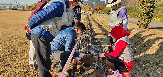 구리한강시민공원 수국 식재 현장. / 사진제공=구리시