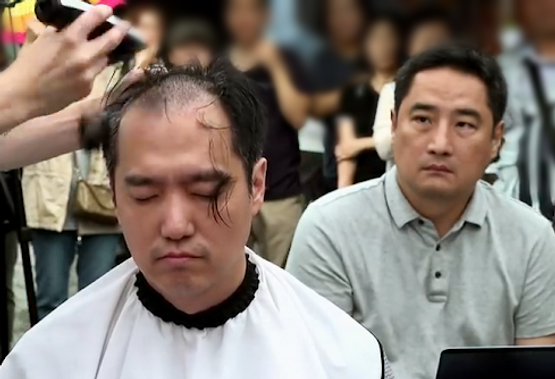 ⓒ가로세로연구소