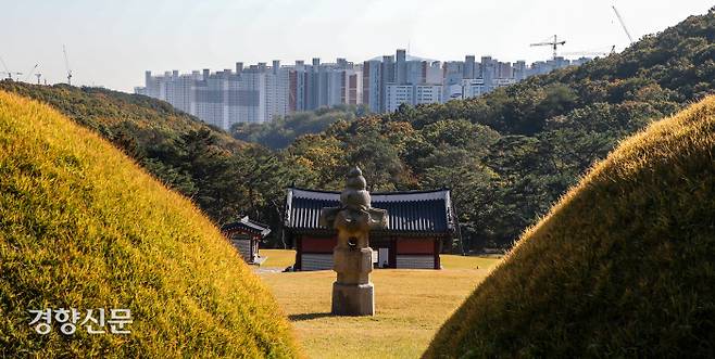 3개 건설사(대방건설·대광이엔씨·금성백조)의 개선안 두고 문화재청이 심의를 하는 28일 경기도 김포 장릉(사적 제202호)에서 문제의 검단 신도시 아파트가 보이고 있다.  이석우 기자