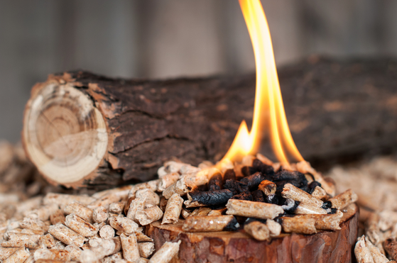 Pile of fir wooden pellets in flames [SHUTTERSTOCK]