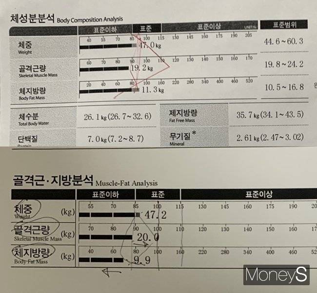 1만보 걷기 전후로 체성분검사를 한 결과 체중에는 변화가 없었지만 근육량은 미세하게 증가했다. 사진은 인바디 체중계로 1만보 체험 전(위쪽)·후의 체성분 검사를 한 결과. /사진=서지은 기자
