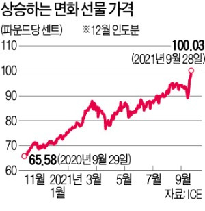 면화값 10년 만에 '최고'..의류도 비싸지나