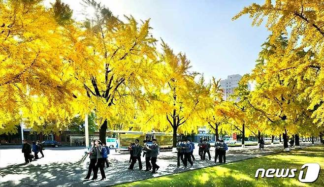 (평양 노동신문=뉴스1) = 북한 조선노동당 기관지 노동신문은 31일 '수도 평양의 이채로운 가을풍경'이란제목으로 관련 사진 여러 장을 실었다. [국내에서만 사용가능. 재배포 금지. DB 금지. For Use Only in the Republic of Korea. Redistribution Prohibited] rodongphoto@news1.kr