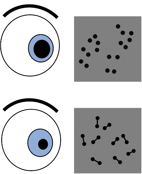 인식하는 점의 수에 따라 크기가 달라지는 동공.(출처:www.elisacastaldi.org)