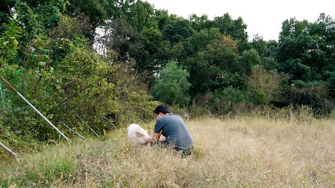 잔디와의 첫 인사. 새벽이보단 사람에 대한 경계심이 덜해서 내게 다가와주었다./사진=이주아 머니투데이 PD