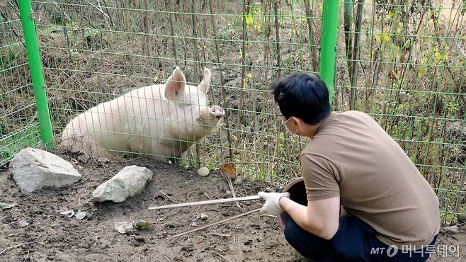 잔디 응아를 줍다가 펜스를 경계로 첫 인사를 나눴다. 경계심이 심해 거리를 유지하는 게 필요했다./사진=이주아 머니투데이 PD