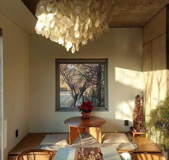 맨션자두 인스타그램