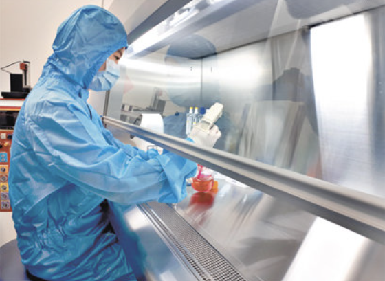 대구경북첨단의료산업진흥재단 첨단의료기기개발지원센터 의료신소재TF팀이 인체 폐지방에서 세포외기질을 추출해 오가노이드 칩을 개발하고 있다. / 사진=대구경북첨단의료산업진흥재단 첨단의료기기개발지원센터