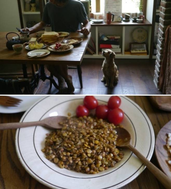 [이효리 블로그 캡처]