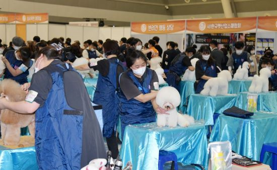 경상남도 창원시 창원컨벤션선터에서 개최된 '2021 대한민국 소상공인대회'에서 애견미용 경진대회가 진행되고 있다.