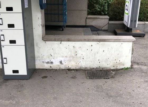 [에브리타임 캡처]