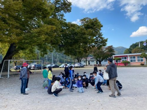 울산 상북초 소호분교 학생들이 숲학교 시간을 이용해  운동장을 가득 채운 느티나무 아래 뛰놀고 있다. 사진=소호산촌유학센터제공