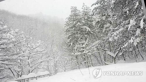 고립된 강원 산간 마을. [독자 제공 자료 사진]