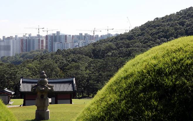 경기도 김포시 풍무동 장릉 전방에서 보이는 인천 서구 검단신도시 신축 아파트 건설 현장. [연합]