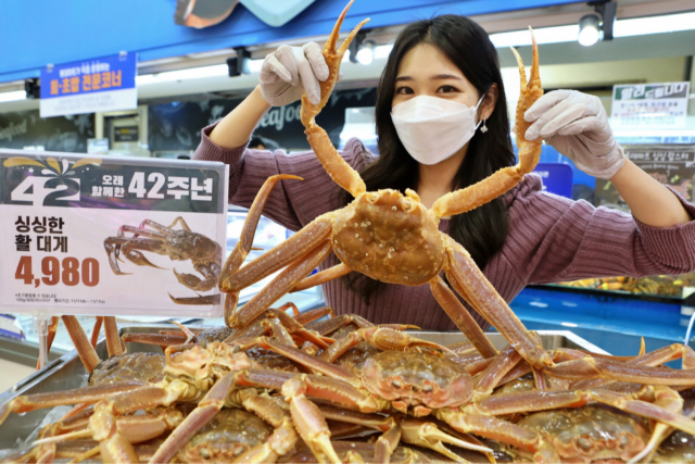 롯데마트가 겨울철 수산물 보양식을 찾는 소비자들을 위해 ‘활 전복’과 ‘활 대게’를 저렴하게 가격으로 선보인다. 11일 모델이 롯데마트에서 판매되고 있는 활 대게를 선보이고 있다./사진 제공=롯데마트