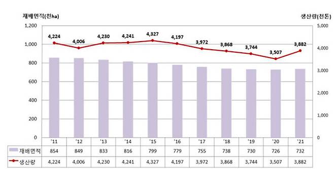 연도별 벼 재배 면적 및 쌀 생산량 추이