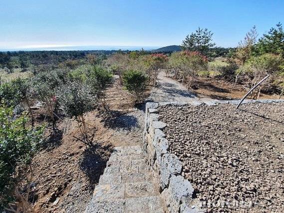 제주자치경찰단은 2018년부터 3년 동안 임야 2만547㎡를 개발행위 허가없이 불법으로 훼손한 혐의로 현직 지역농협 조합장과 아들을 적발하고 구속영장을 신청했다. [사진=자치경찰단 제공]