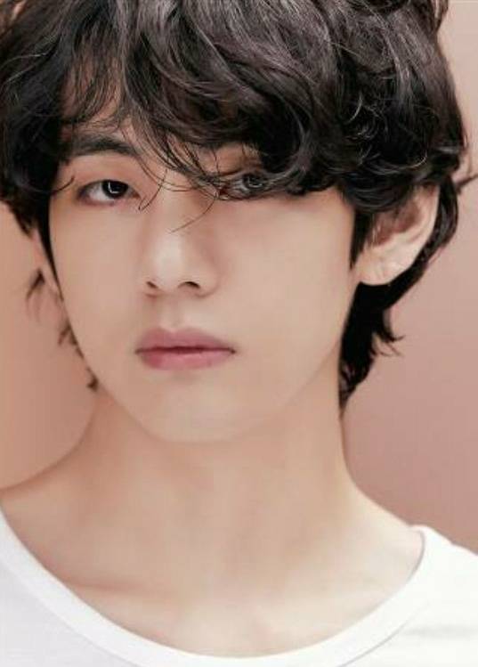 상상만 해도 천국♥ 방탄소년단 뷔, '기차여행 가고 싶은 남돌' 1위