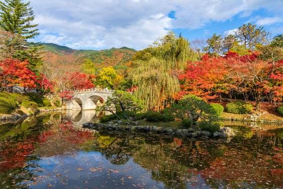 남쪽 지방은 아직 가을이다. 12일 오전 촬영한 경주 불국사의 모습. 천왕문 앞 연못 ‘반야연지’가 가을빛으로 짙게 물들었다. 불국사는 이번 주말까지, 석굴암 가는 산길은 다음 주말까지 단풍이 절정을 이룰 것으로 보인다.