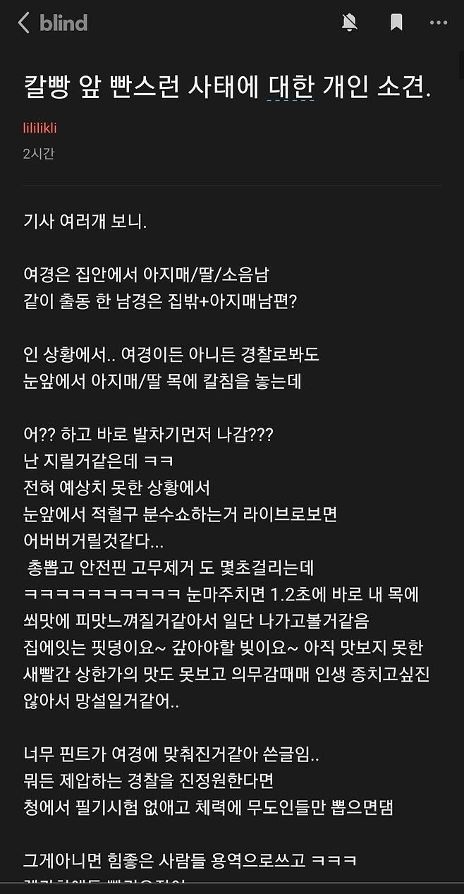 블라인드 캡쳐