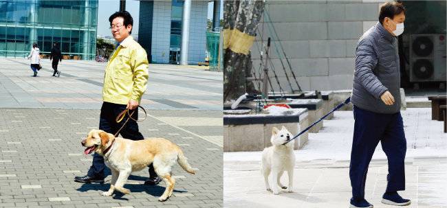 2015년 3월 24일 이재명 당시 경기 성남시장(왼쪽)이 반려견 행복이와 성남시청 인근을 산책하고 있다. 2020년 12월 18일 윤석열 당시 검찰총장이 반려견 토리와 자택 인근을 산책하고 있다. [사진 제공 · 성남시, 동아DB]