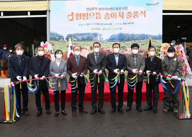 ▲23일 학교면 경매시장에서 열린 ‘으뜸송아지’ 출품식 모습ⓒ함평군