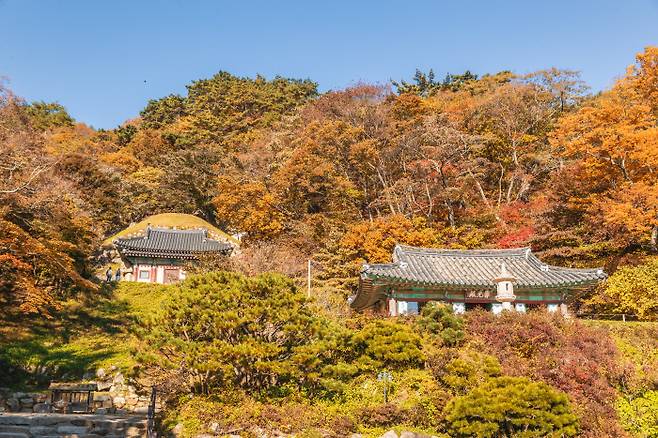 짙은 가을 속에 자리한 석굴암. 사진 한국관광공사.