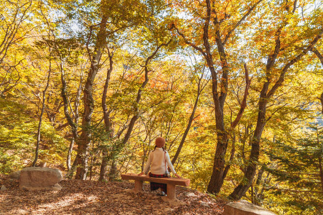 등산로 중간 중간 놓여있는 나무의자. 사진 한국관광공사.