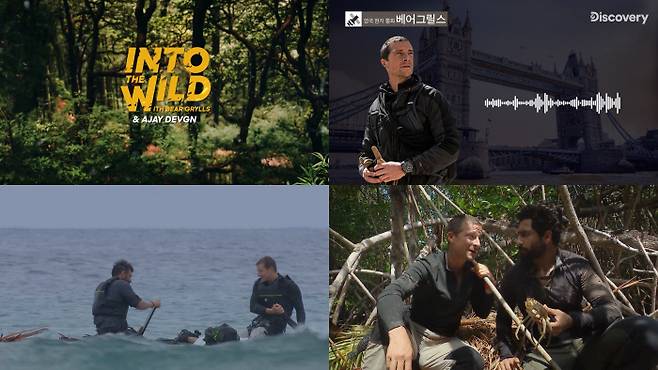 디스커버리 채널 제공