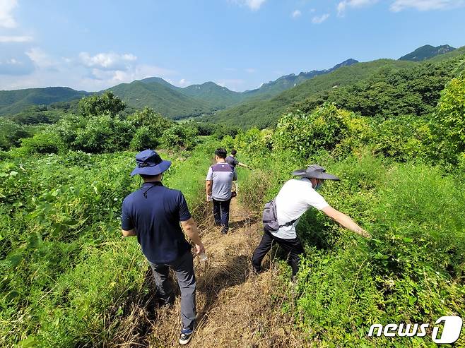 지난 7월 충북 보은에서 실종된 지적장애인 A씨(50)를 찾기 위한 수색 작업이 벌어지고 있다. © 뉴스1