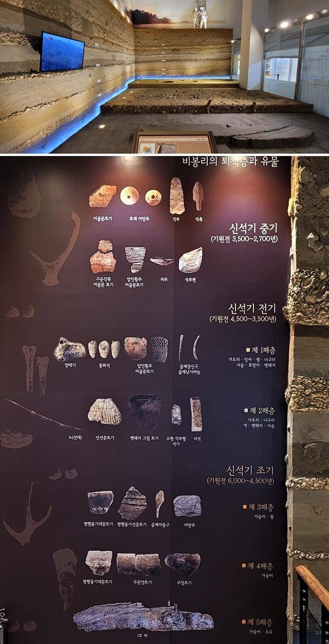 비봉리유적의 토층 전시물. 신석기시대 바닷물이 들어왔던 시기로 패총들이 켜로 나타난다. 아랫줄은 비봉리유적 문화층서. '신석기 전기' 이하의 층은 갯벌층과 패각층이 교대로 나타나는 해안 환경의 시기다.