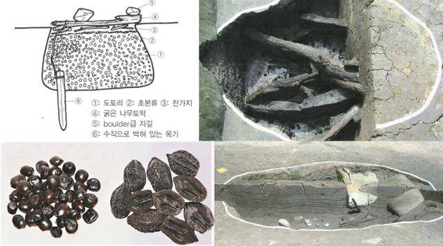 윗 줄은 비봉리유적 도토리 탈타닌 구덩이의 구조도와 발굴된 모습. 도토리를 나무로 덮었음을 보여준다. 아랫줄은 구덩이 안에서 발굴된 도토리와 씨앗, 제분 용도로 추정되는 갈판.