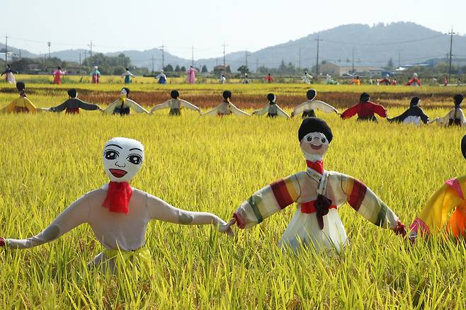 10월 6일 전남 순천시 별량면 봉림리의 논에 별량면 주민자치회에서 세운 허수아비가 눈길을 끌고 있다. /연합뉴스