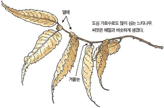 우리 주변 식물들의 비밀 이야기