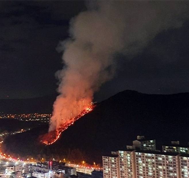 부산 북구 야산 불 - 부산지방경찰청 제공