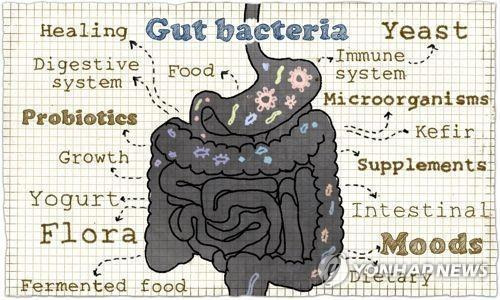 장내 미생물 [게티이미지뱅크, 재판매 및 DB 금지]