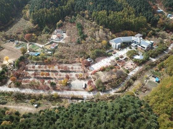 강원도 자연환경연구공원에 3200㎡(968평) 규모로 조성되는 '뉴스킨 희망의 숲' 전경 모습. 사진 뉴스킨코리아