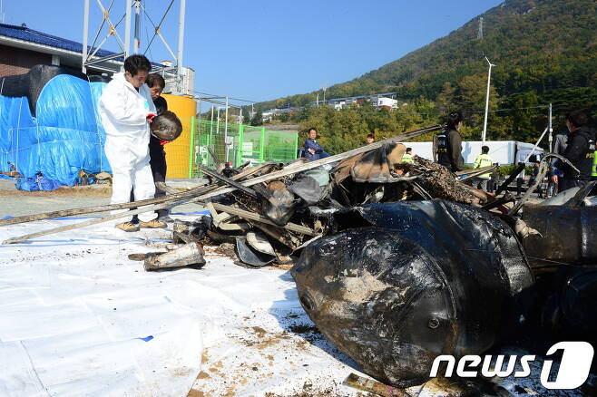 차량사고 현장  뉴스1 © News1