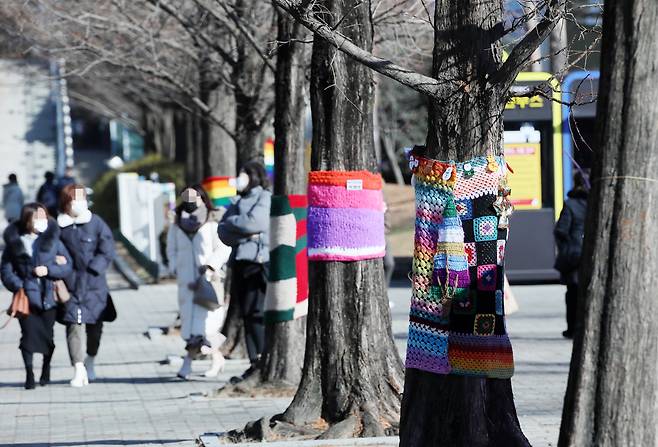 4일 경기도 고양시 일산문화공원에서 시민들이 뜨개옷을 입은 가로수길을 걷고 있다. [연합]