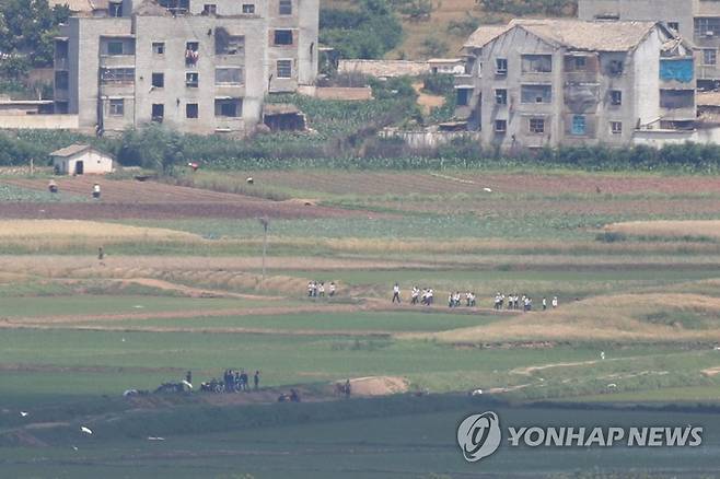 통일전망대에서 바라본 북한 들녘 [연합뉴스 자료사진]