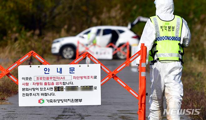 [나주=뉴시스] 조류인플루엔자(AI) 방역 자료사진. hgryu77@newsis.com