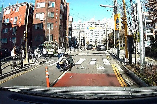 사진 = 보배드림 게시글 영상 캡처