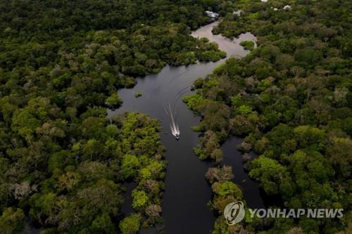 아마존 숲  [AFP 연합뉴스 자료사진]
