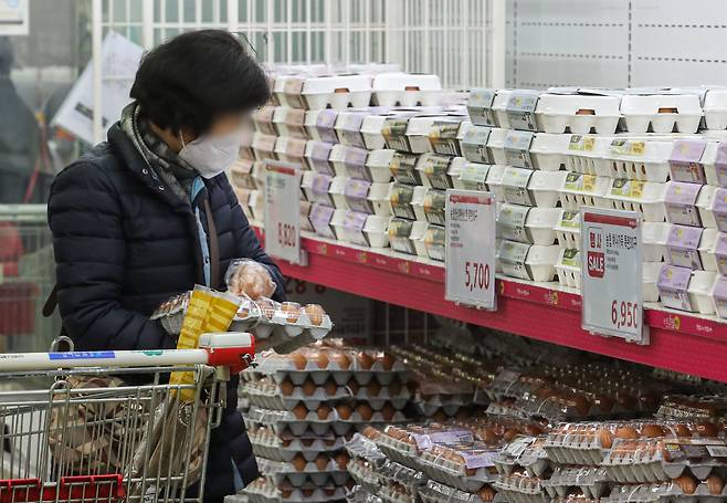 6일 오후 서울 시내 대형마트에서 고객이 계란을 살피고 있다. /뉴시스